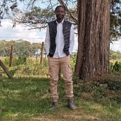 bonukevinnie's profile picture. Fintech||Information systems||Universe||TechTrends🖥️||Time anchors Your🧭||wordplay||Data.
No such thing as endings/beginnings.We move in circles.