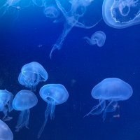 ま (@dhuofdf36z33433) Twitter profile photo