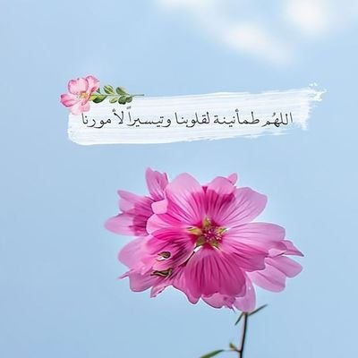لطلب من متجر رشم للكسسوارات النسايه كود الخصم(H47)
https://t.co/i7v2tUayGX