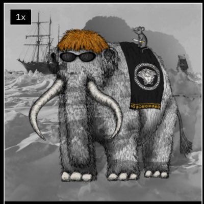 product tester | modular & ZK infra| mammoth 🦣 |contributor
