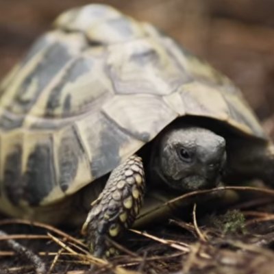 SonNguyen121017's profile picture. 