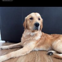 MakeCryptoFunAgain (@makecryptofun1) 's Twitter Profile