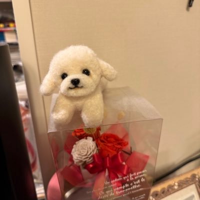 ファンダメンタル、テクニカル❤️人は、鏡🪞忘備録(`・ω・´)40代。female、不器用、26婚約、入籍🐩1月31日🌈 マルチーズが来た→2月23日❤️