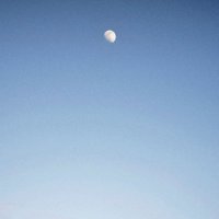 あま🧸 (@m_is_amadeus) 's Twitter Profile