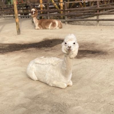 Xo5TzEXeZr35389's profile picture. webデザインの勉強用アカウント📖´-  シングルマザーでも頑張りたい🙌  #Fammスクール