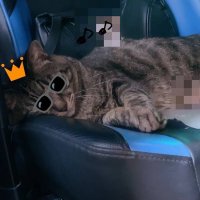 みゅう (@c4526b) 's Twitter Profile