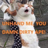 対角線上のさすらい人 (@wanderer4477) 's Twitter Profile Photo