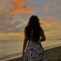 🌻 (@messjg) 's Twitter Profile
