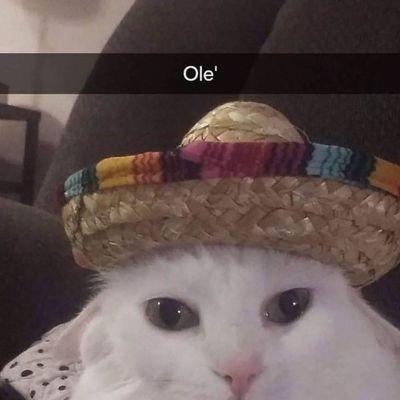 bellinghamsainz's profile picture. im living my dream lifetime!!!!