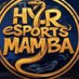Jonathan Glinkowski (@hyr_mamba) Twitter profile photo Jonathan Glinkowski (@hyr_mamba) Twitter profile photo