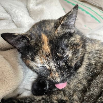 Patient advocate | Addicted to TV series & documentaries | Chirps in French & English | Has moved to Bluesky ➡️ https://t.co/q9VpK6GMzw