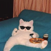 ππΎπΆπ ππ½π π½ππΈπ (@onextrabish) 's Twitter Profile