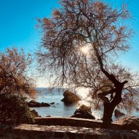 francis-andre fasolart (@fasolart) 's Twitter Profile
