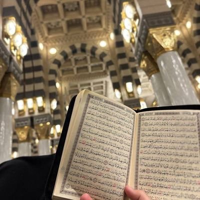 lys2894's profile picture. اللهم صلي وسلم وبارك على سيدنا محمد 🤍