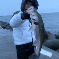 パイセン (@sdik0903) 's Twitter Profile