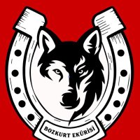 Bozkurt Ekürisi (@bekurisi) 's Twitter Profile Photo