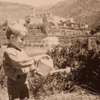 Christophe Demoulin (@christophedemo1) 's Twitter Profile Photo Christophe Demoulin (@christophedemo1) 's Twitter Profile Photo