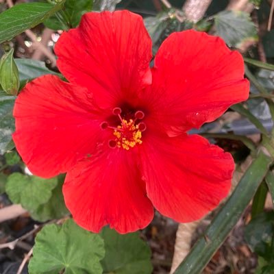 rickards_laura's profile picture. Just doing my best, wife & mum. Love animals, books, history, nature, cooking. Hope for peace & that good will win over evil. Opinions are my own 🇬🇧