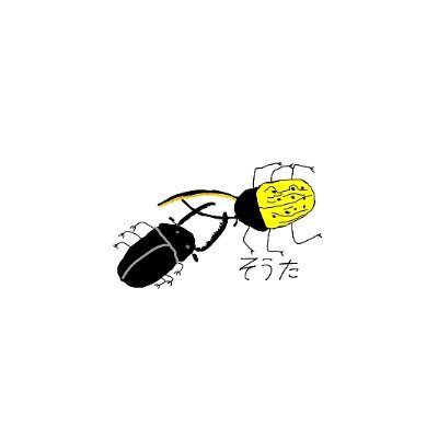 活動
・昆虫・鉄道模型イベント開催
・こども向けイベントへの出店
イベント収益の一部を小児がん施設等へ寄付します