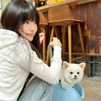 锅包肉 (@gs0htn3eyo98594) 's Twitter Profile