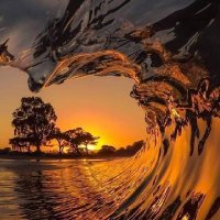 yasin AP (@ap_yasin37336) 's Twitter Profile