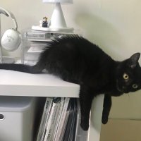 ππππ (@keem_30020) 's Twitter Profile