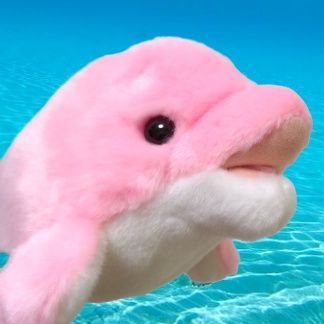 いwwwまwww閲www覧www8wwwwwwww / 粗利益が25%だったり、35%だったりします💴 / スヌーピー🐈⬛&ボーロくん🐈⬛ / 過激な考えだとは自覚していますが、動物虐待と性暴力の加害者は可能な限り最も苦しませる方法を使い、問答無用で即死刑にするべきだと思っています