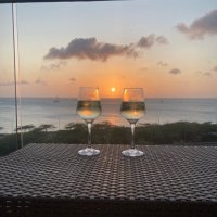 Robin from Boston (@robinfrom88242) 's Twitter Profile Photo