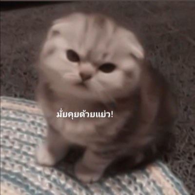 คะขาไม่ใช่คนเจ้าชู้