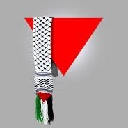 al_1981_11's profile picture. لا إلهَ إلَّا اللهُ وحدَه لا شريكَ له، له المُلْكُ وله الحمْدُ، وهو على كلِّ شيءٍ قديرٌ