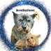 Norman Dillon🌈BovverBoy (@norman_dillon1) Twitter profile photo Norman Dillon🌈BovverBoy (@norman_dillon1) Twitter profile photo