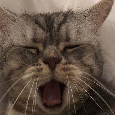 nisreenm_'s profile picture. Architecture student @_ksu