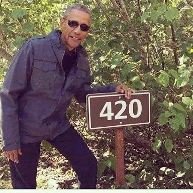 joaoserafim18's profile picture. Guarani FC, Criptoativos e Shitposting