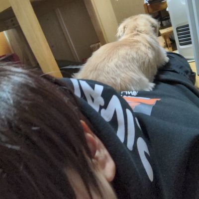 axe_goat_inside's profile picture. 俺の完全プライベート大公開&鍵垢の人と話す用あかうんちょ💩