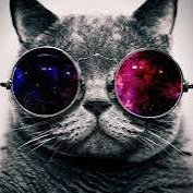 aspie (@aspieboo) 's Twitter Profile Photo aspie (@aspieboo) 's Twitter Profile Photo