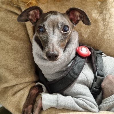 nesguevi's profile picture. #50YLoQueVenga: donde los 'años de experiencia' son mi mejor filtro y no el de Instagram