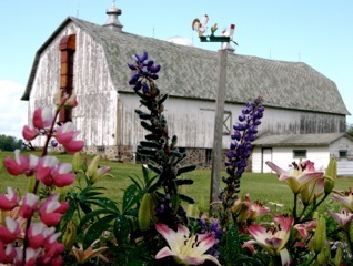 BobTauchen's profile picture. 