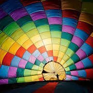 collums26's profile picture. 