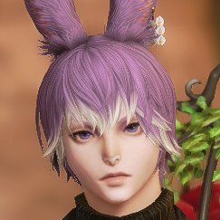 ※FF14専用垢分けました※Makarov Wald(マカロフ・ヴァルド)です॑⸜(* ॑꒳ ॑* )⸝⋆*
いまのところのんびりプレイしてます。7.1メイン完走しました。目指せ高難易度コンテンツ!
FC cardinalisの4代目マスターに就任しました🥀
無言フォロー大歓迎&失礼します(❁ᴗ͈ˬᴗ͈)!