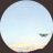 yuki_hgdn0206's profile image