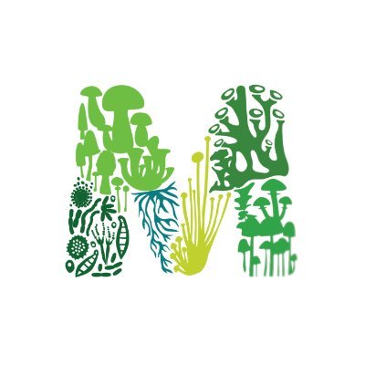 International Centre of Excellence in application of fungal technology in the food, environment & health sectors. Host of the Cranfield Mycotoxin Training Hub.
