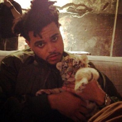 xo