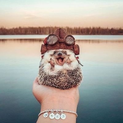 J.Oさんのプロフィール画像