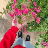 Sabreen Safwat (@sfwtlym) 's Twitter Profile