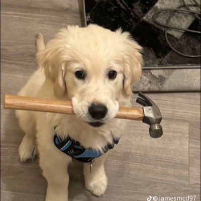 CiaranH_7's profile picture. 22🍀