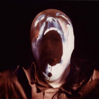 MaxiNice1731's profile picture. Ehemaliges Ehrenmitglied der Oettigang, CEO der Pink Floyd Bubble