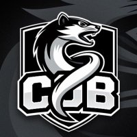 Clash of Breizh (@cob_esport) 's Twitter Profile