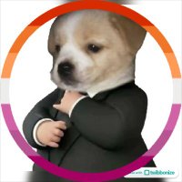 achuuz (@achuuz_) 's Twitter Profile Photo achuuz (@achuuz_) 's Twitter Profile Photo