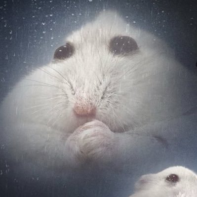 natashasversi0n's profile picture. swiftie since debut 🫶