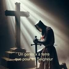 Soldier retired, au drapeau et à ceux qui l'honnorent. Soutient à Israël, Trump, Russie. J'aime Voltaire et n'aime pas l'injustice. 🇨🇵🇮🇹✝️✡⚜️🎖️🕎